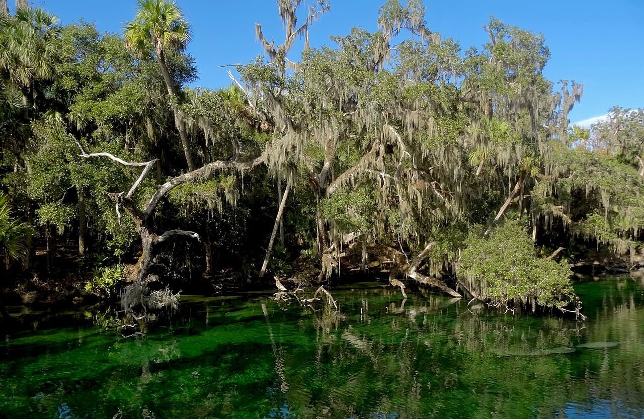 Blue Spring State Park