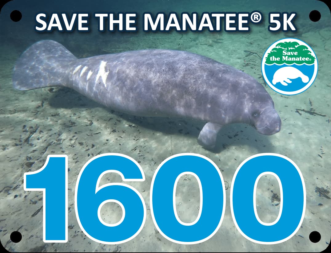 Save the Manatee 5K