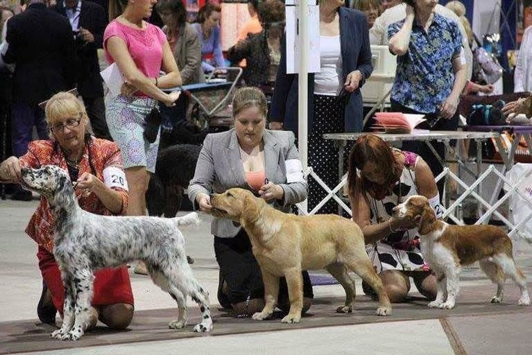 West Volusia Kennel Club Dog Show