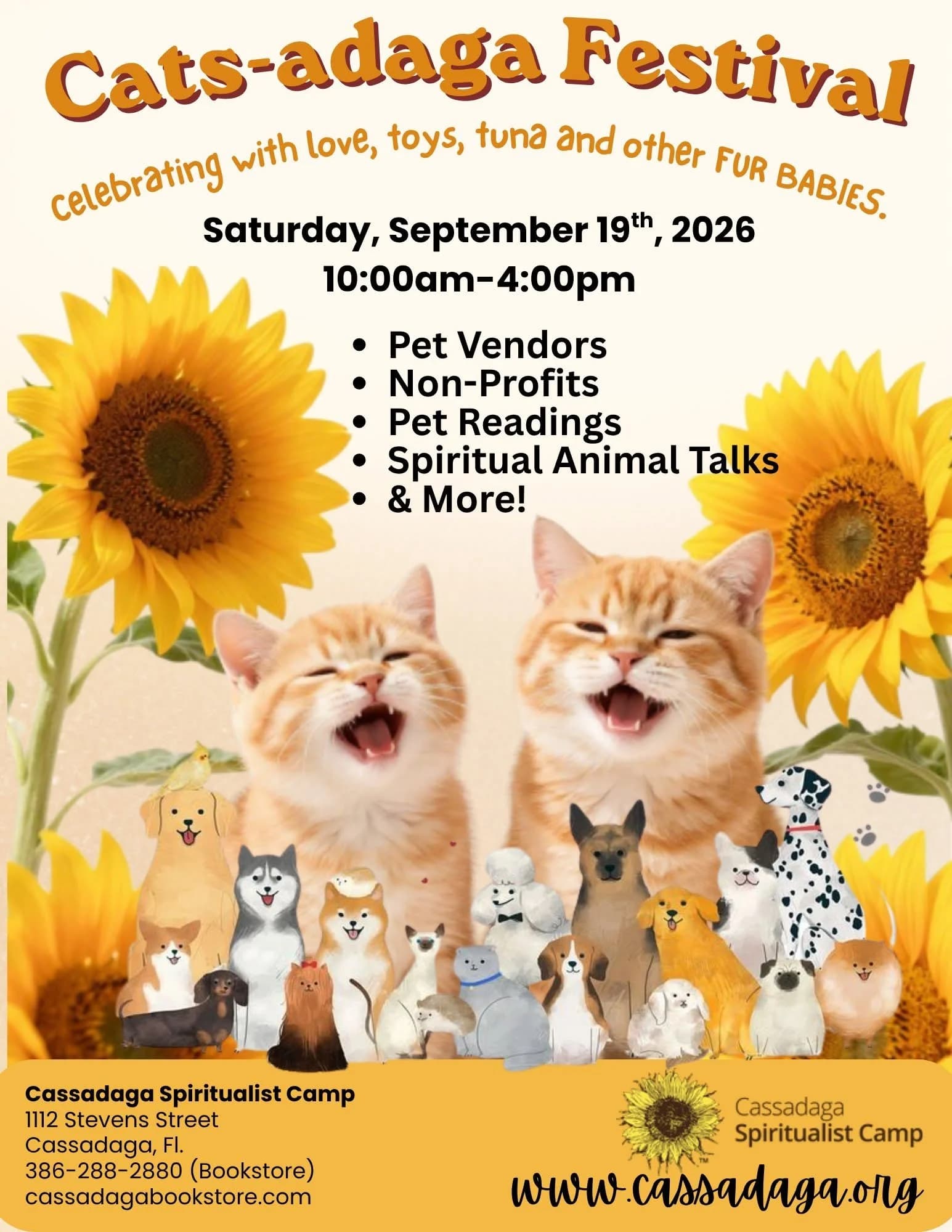 Cats-adaga Festival