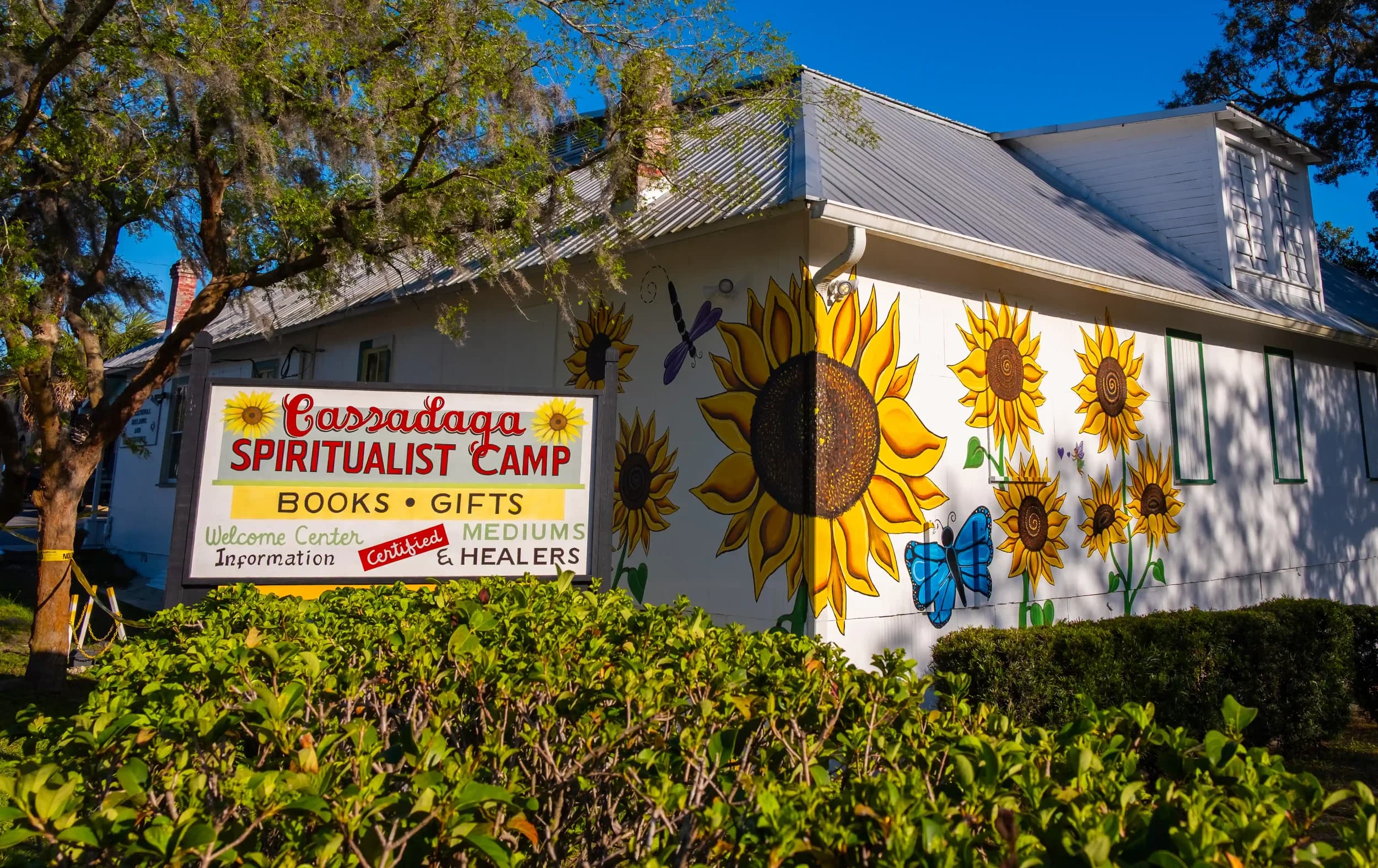 Cassadaga Fall Festival